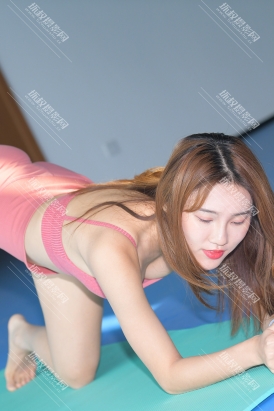 【M0212】阳光下安静的猫